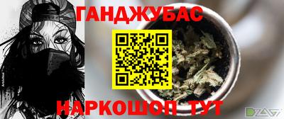 индика Лесосибирск
