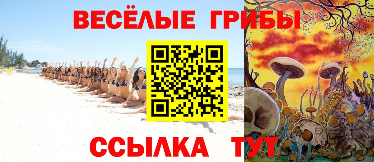 Галлюциногенные грибы MAGIC MUSHROOMS  Вход с VPN  Усолье-Сибирское 