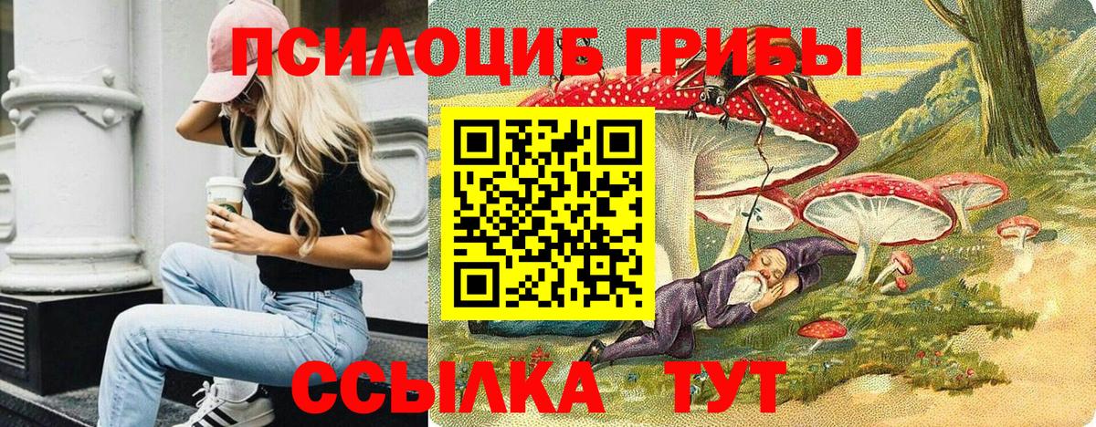 Псилоцибиновые грибы мухоморы Усолье-Сибирское